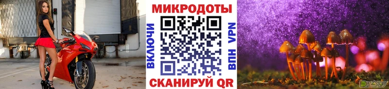 Купить закладки  Велиж  Псилоцибиновые грибы Cubensis 